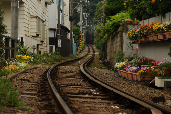519 kamakura14 DSC_6610.jpg